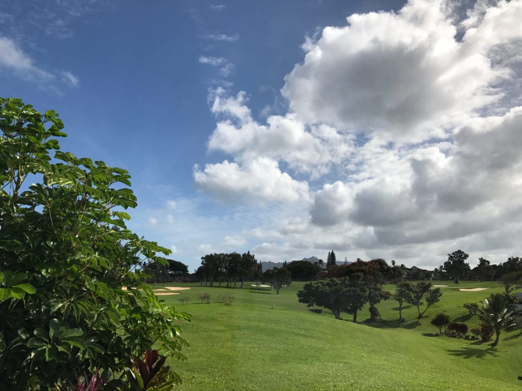 prince-golf-course-aloalii-drive